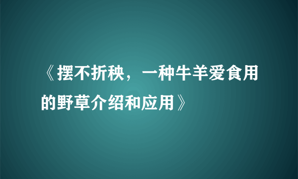 《摆不折秧，一种牛羊爱食用的野草介绍和应用》