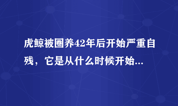 虎鲸被圈养42年后开始严重自残，它是从什么时候开始失去自由的？