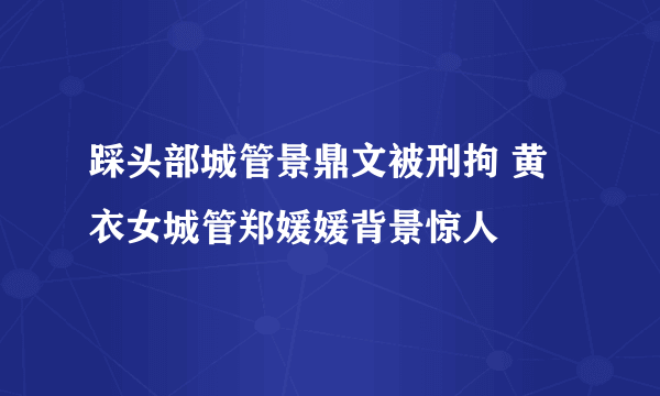 踩头部城管景鼎文被刑拘 黄衣女城管郑媛媛背景惊人