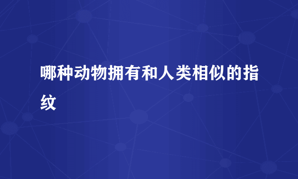 哪种动物拥有和人类相似的指纹