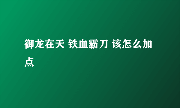 御龙在天 铁血霸刀 该怎么加点