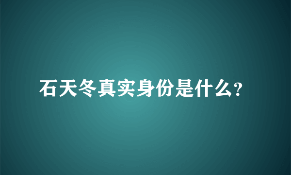 石天冬真实身份是什么？