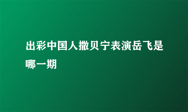 出彩中国人撒贝宁表演岳飞是哪一期