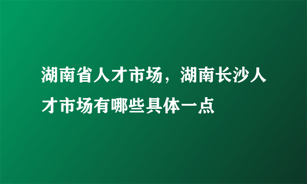 湖南省人才市场，湖南长沙人才市场有哪些具体一点