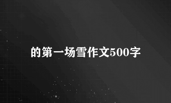 的第一场雪作文500字