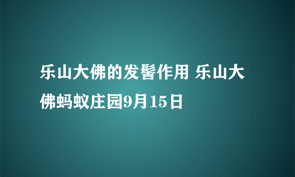 乐山大佛的发髻作用 乐山大佛蚂蚁庄园9月15日