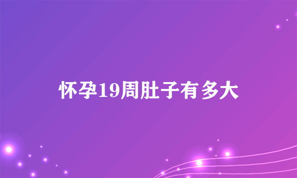 怀孕19周肚子有多大