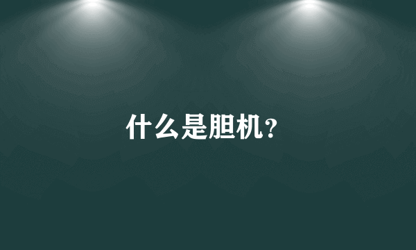 什么是胆机？