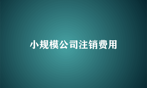 小规模公司注销费用