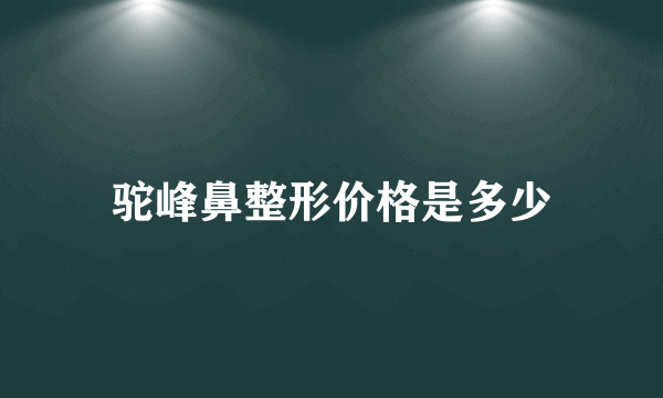 驼峰鼻整形价格是多少