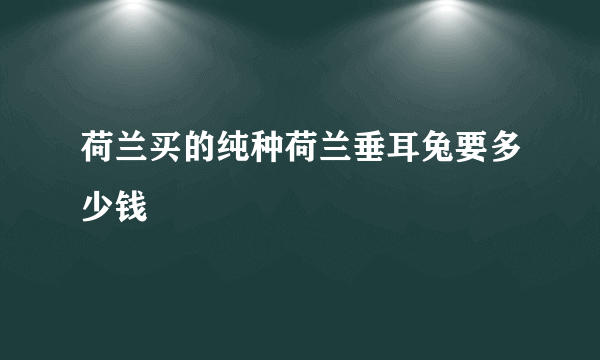 荷兰买的纯种荷兰垂耳兔要多少钱