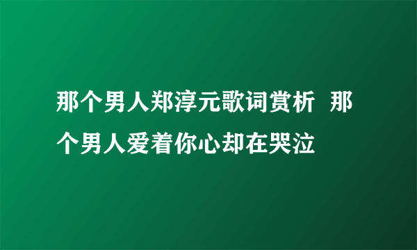 那个男人郑淳元歌词赏析  那个男人爱着你心却在哭泣