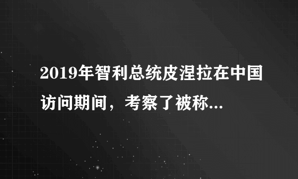 2019年智利总统皮涅拉在中国访问期间，考察了被称为对外开放“窗口”的城市，他不禁发出了这样的感叹：“还有什么是这个城市制造不出来的！”这个城市是（　　）A.南京B.上海C.深圳D.青岛