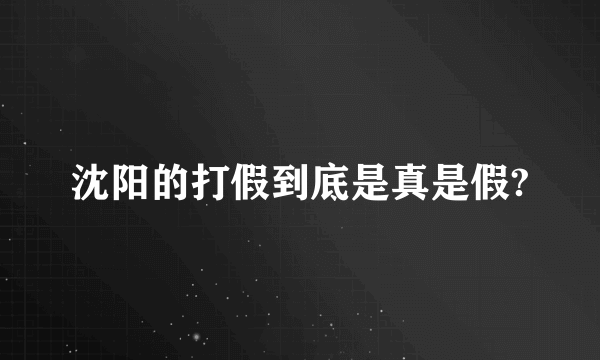 沈阳的打假到底是真是假?