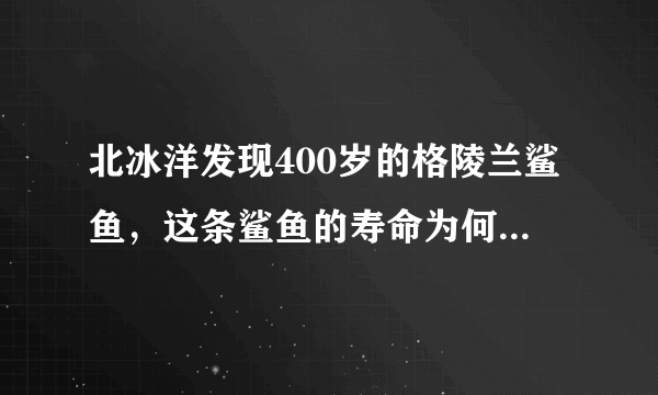 北冰洋发现400岁的格陵兰鲨鱼，这条鲨鱼的寿命为何这么长？