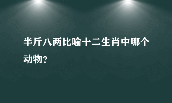 半斤八两比喻十二生肖中哪个动物？