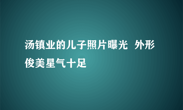 汤镇业的儿子照片曝光  外形俊美星气十足