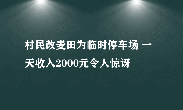 村民改麦田为临时停车场 一天收入2000元令人惊讶