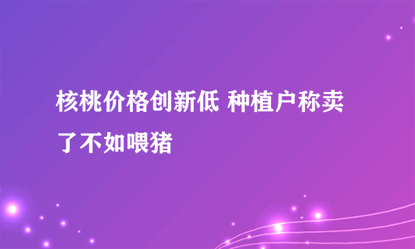 核桃价格创新低 种植户称卖了不如喂猪