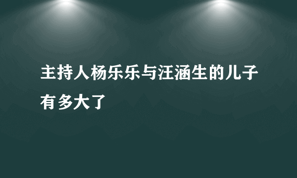 主持人杨乐乐与汪涵生的儿子有多大了