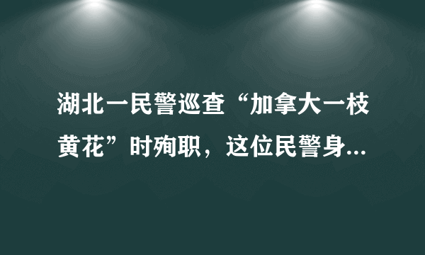 湖北一民警巡查“加拿大一枝黄花”时殉职，这位民警身上有哪些优秀的品质？