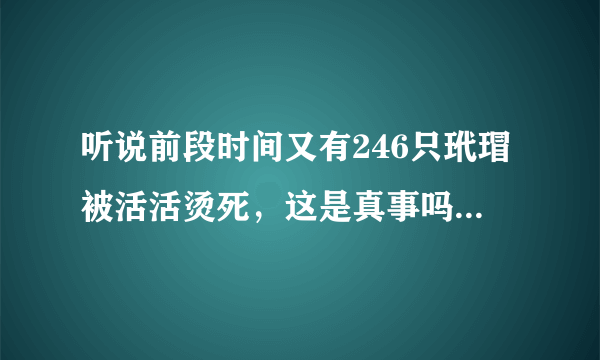 听说前段时间又有246只玳瑁被活活烫死，这是真事吗？到底是为了什么？