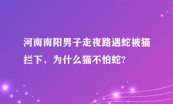 河南南阳男子走夜路遇蛇被猫拦下，为什么猫不怕蛇?