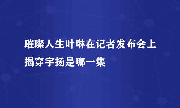 璀璨人生叶琳在记者发布会上揭穿宇扬是哪一集