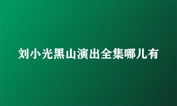 刘小光黑山演出全集哪儿有