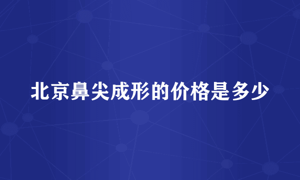 北京鼻尖成形的价格是多少