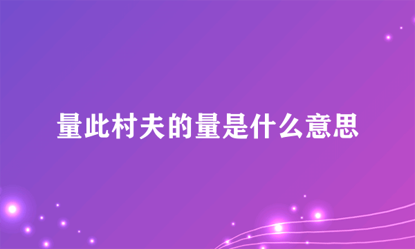 量此村夫的量是什么意思