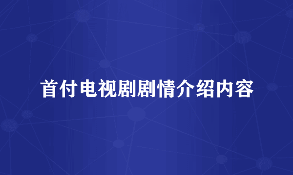 首付电视剧剧情介绍内容