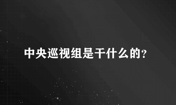 中央巡视组是干什么的？