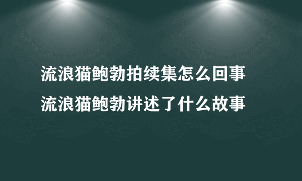 流浪猫鲍勃拍续集怎么回事 流浪猫鲍勃讲述了什么故事