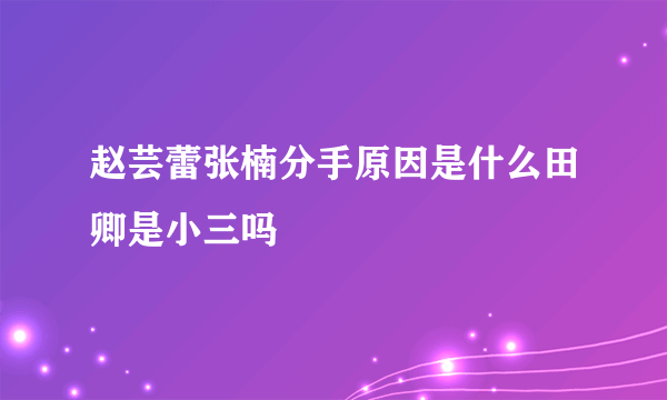 赵芸蕾张楠分手原因是什么田卿是小三吗