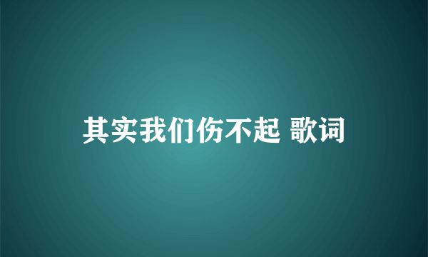 其实我们伤不起 歌词