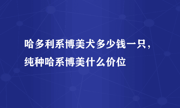 哈多利系博美犬多少钱一只，纯种哈系博美什么价位