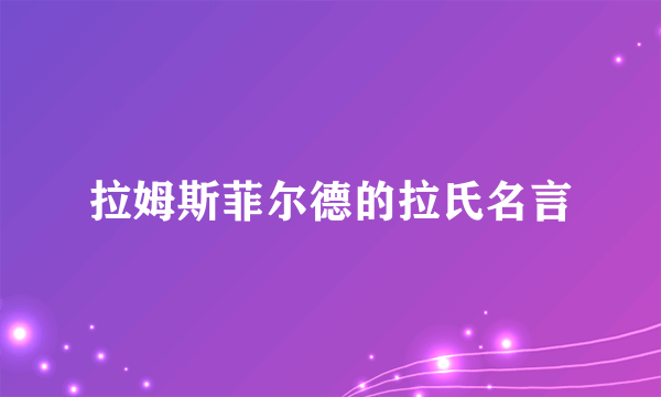 拉姆斯菲尔德的拉氏名言