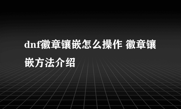 dnf徽章镶嵌怎么操作 徽章镶嵌方法介绍