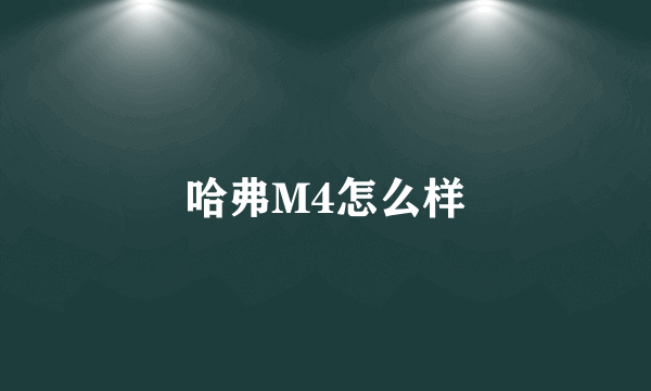 哈弗M4怎么样