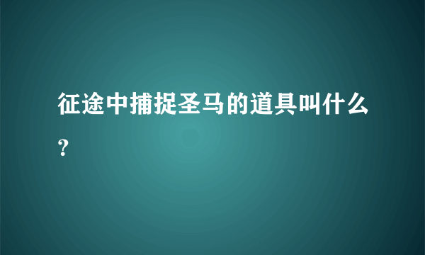 征途中捕捉圣马的道具叫什么？