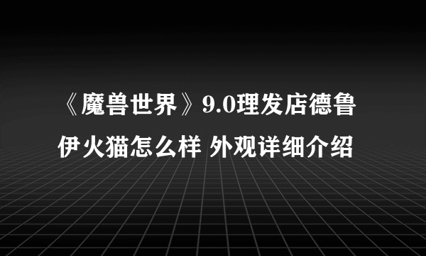 《魔兽世界》9.0理发店德鲁伊火猫怎么样 外观详细介绍