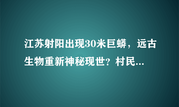 江苏射阳出现30米巨蟒，远古生物重新神秘现世？村民要渡劫升天？