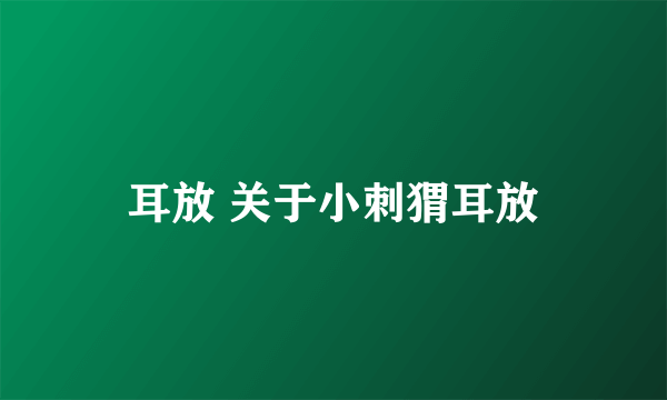 耳放 关于小刺猬耳放