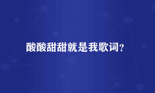 酸酸甜甜就是我歌词？