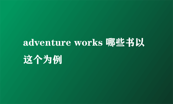 adventure works 哪些书以这个为例