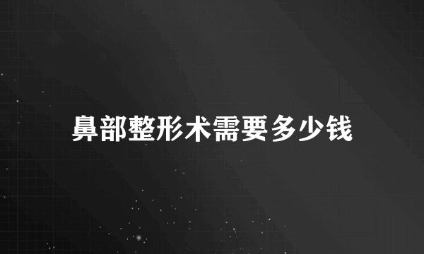 鼻部整形术需要多少钱