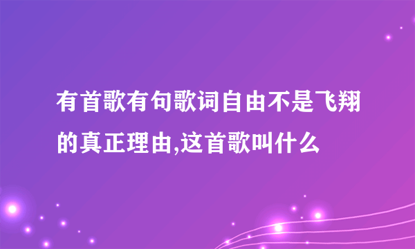 有首歌有句歌词自由不是飞翔的真正理由,这首歌叫什么