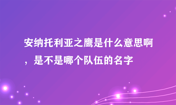 安纳托利亚之鹰是什么意思啊，是不是哪个队伍的名字