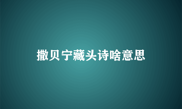 撒贝宁藏头诗啥意思